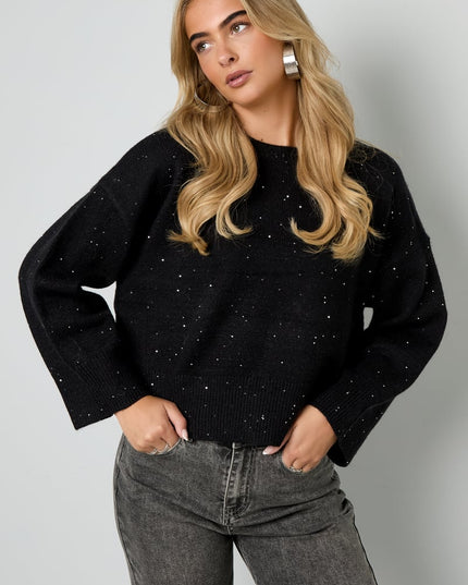 Sparkling Knit sweater
