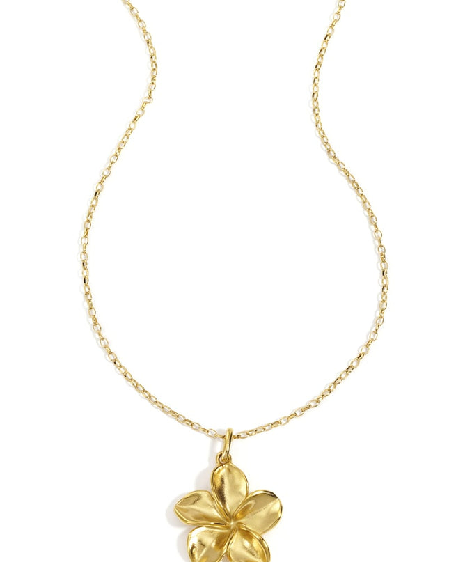 Pendant necklaces Flower Casual Daily Simple Series Women's jewelry